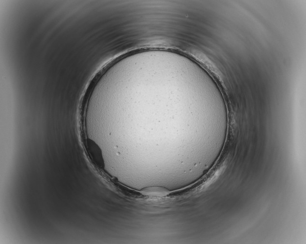 X0000093450989200711091509