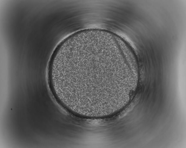 X0000093450991200711091509