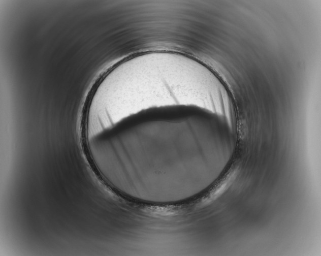 X0000093450995200711091509