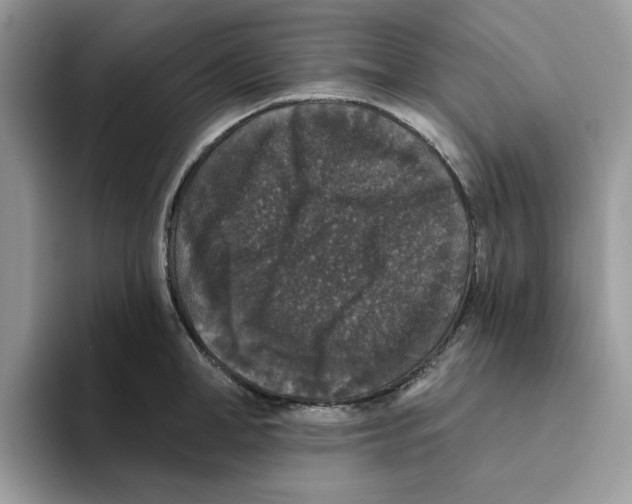 X0000093450998200711091509