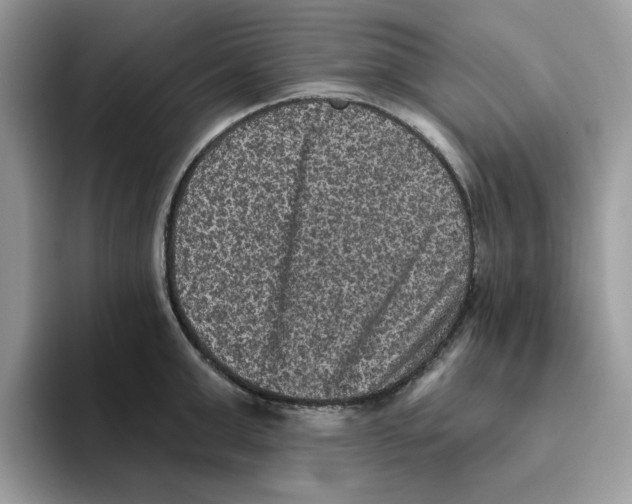 X0000093450999200711091509