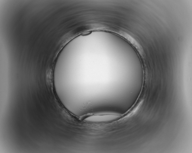 X0000093451001200711091509