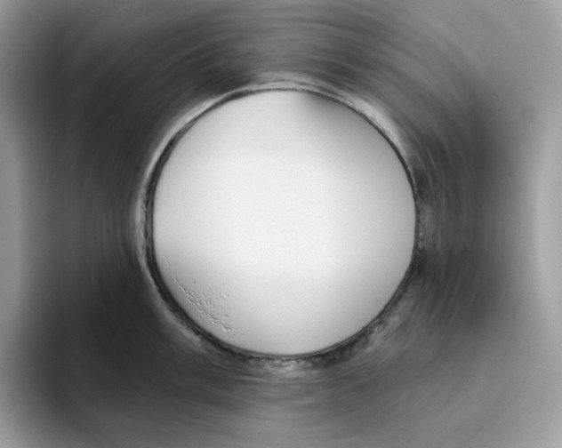 X0000093451003200711091509