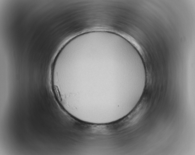 X0000093451006200711091509