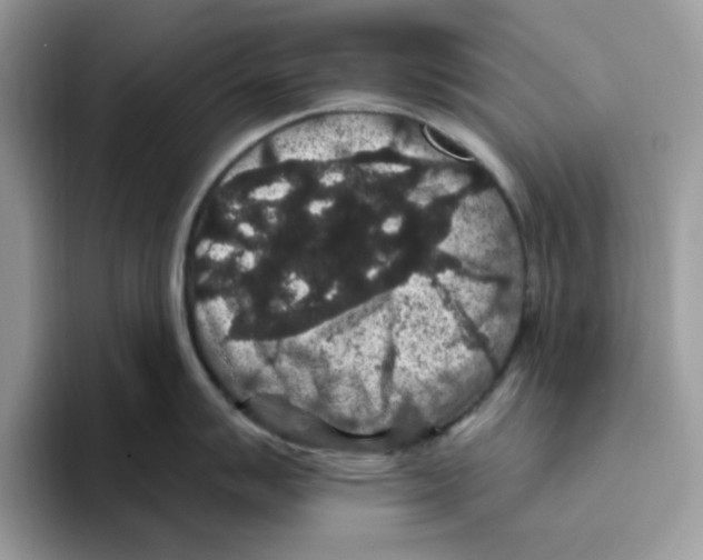 X0000093451007200711091509