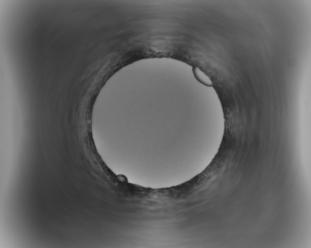 X0000093451009200711091508