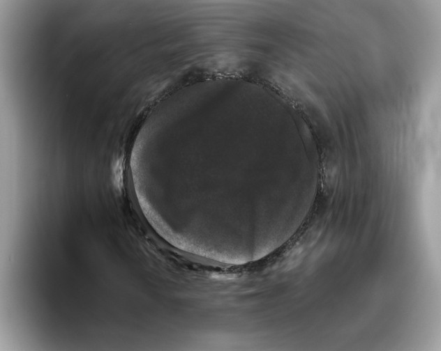 X0000093451010200711091508