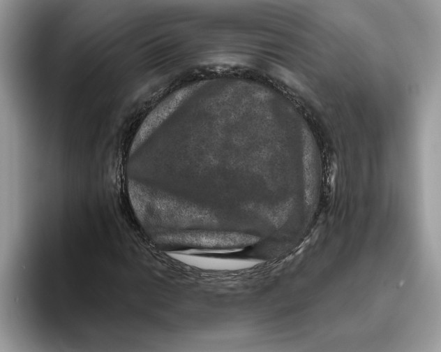 X0000093451014200711091508