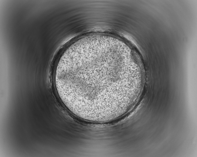 X0000093451018200711091508