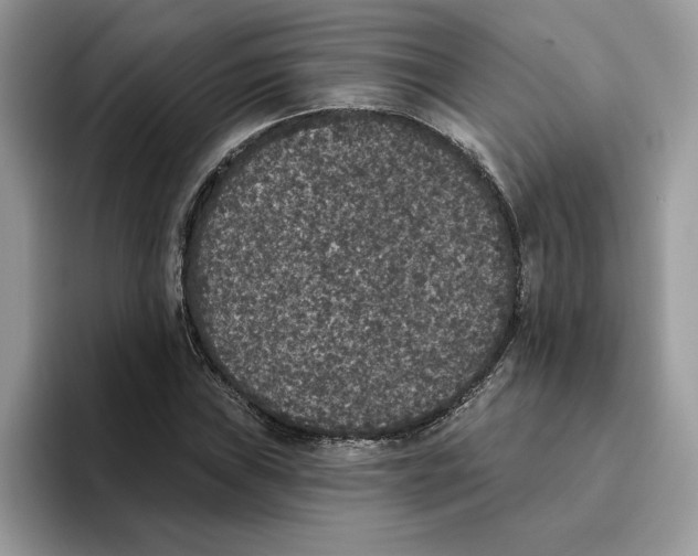 X0000093451019200711091508