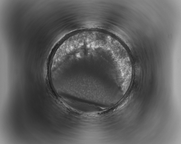 X0000093451023200711091508