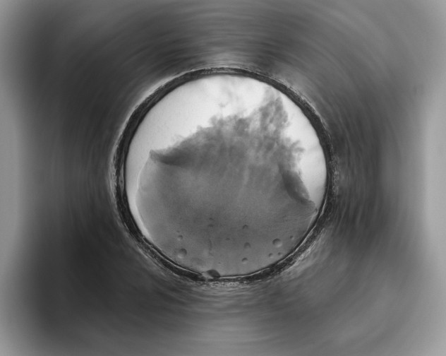 X0000093451024200711091508