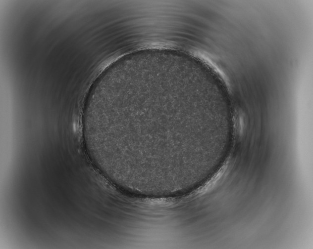 X0000093451025200711091508