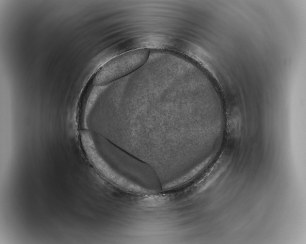 X0000093451026200711091508