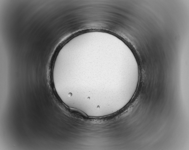 X0000093451029200711091508