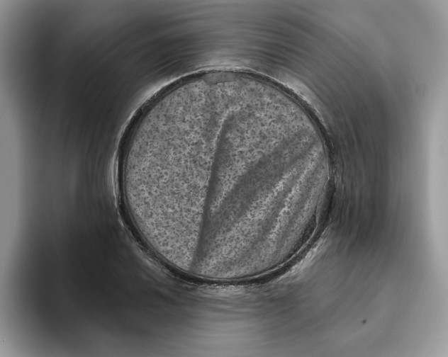 X0000093451030200711091508