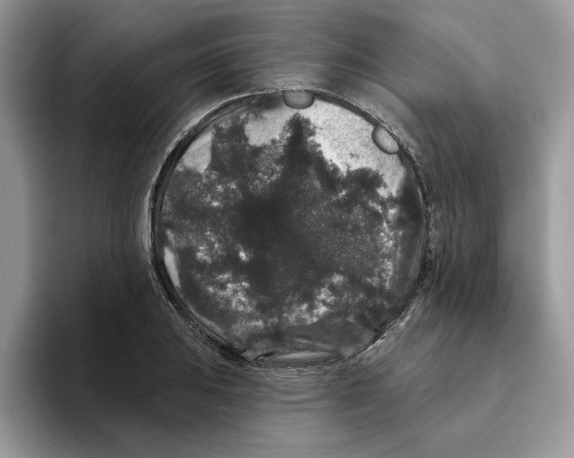 X0000093451031200711091509