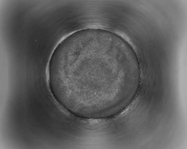 X0000093451032200711091509