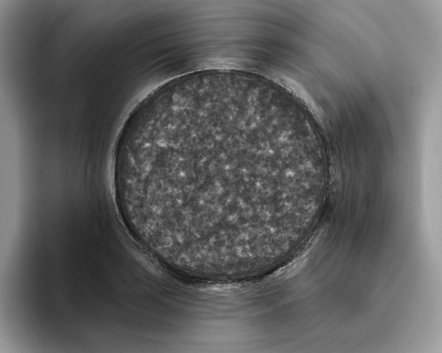 X0000093451035200711091509