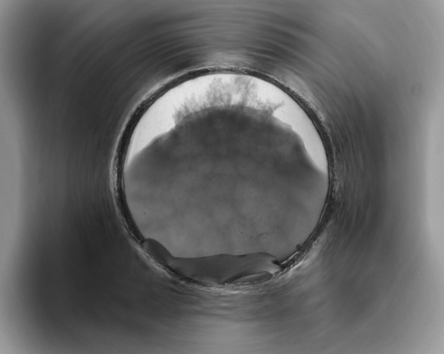 X0000093451037200711091509