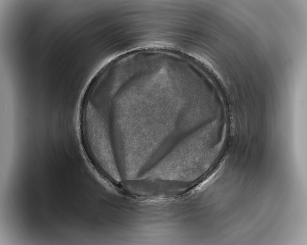 X0000093451038200711091509