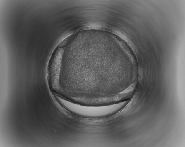 X0000093451042200711091509