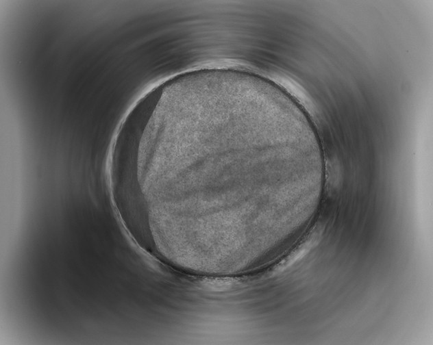 X0000093451046200711091509