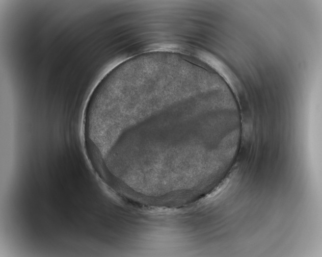 X0000093451050200711091509