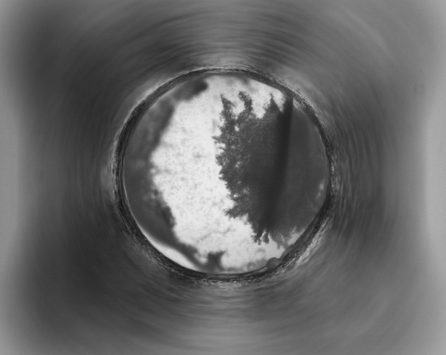 X0000093451071200711091508