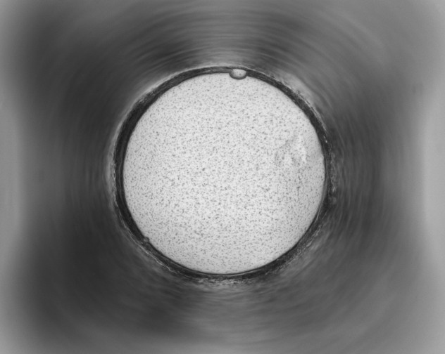 X0000093451072200711091508