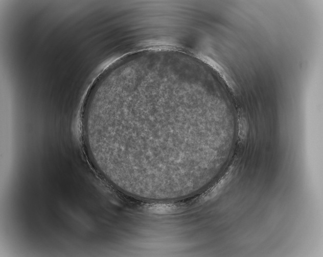 X0000093451074200711091508