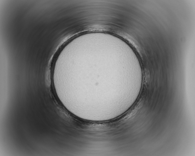 X0000093451075200711091508