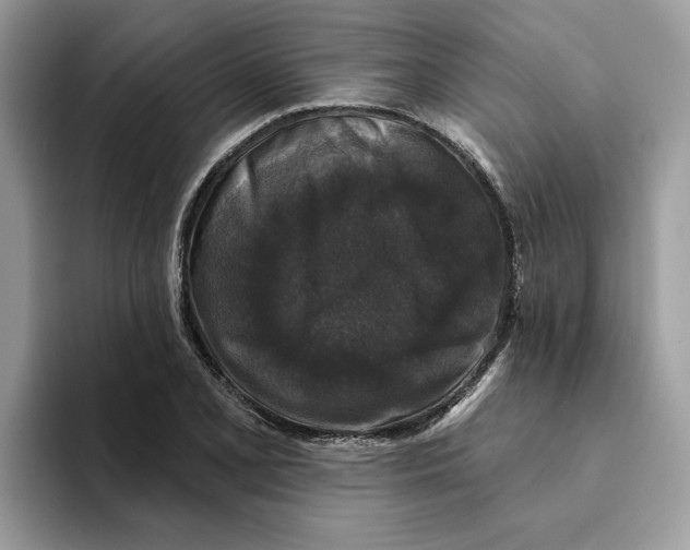 X0000093451077200711091508