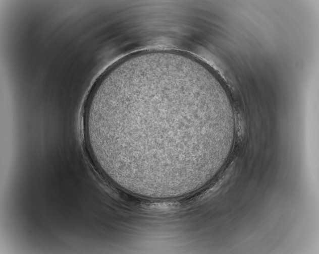 X0000093451078200711091508