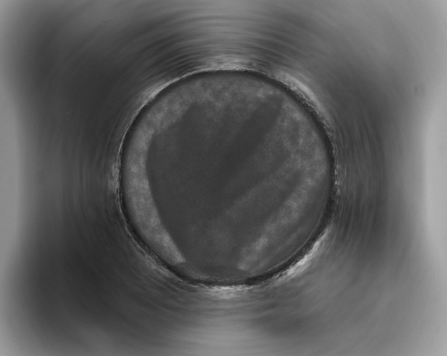 X0000093451081200711091508