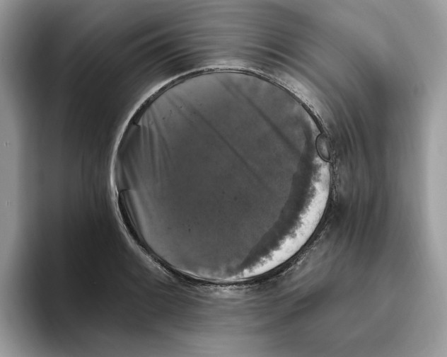 X0000093451084200711091508