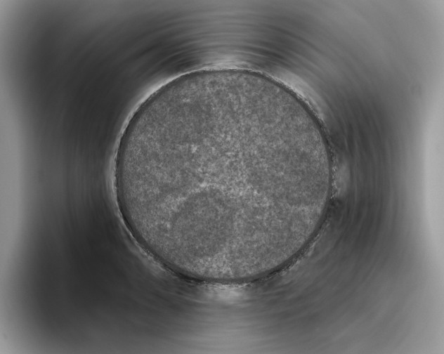 X0000093451086200711091508