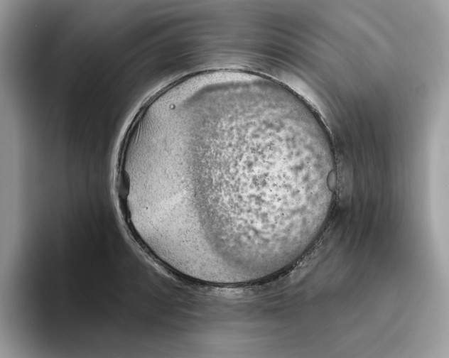 X0000093451088200711091508