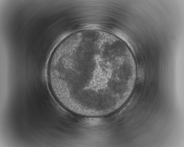 X0000093451090200711091508