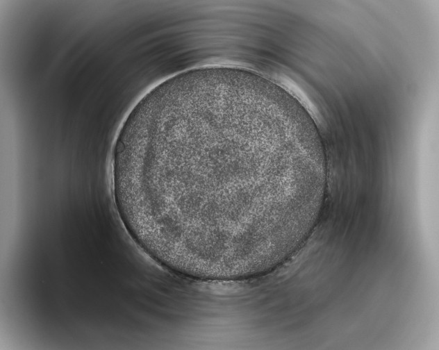 X0000093451092200711091508