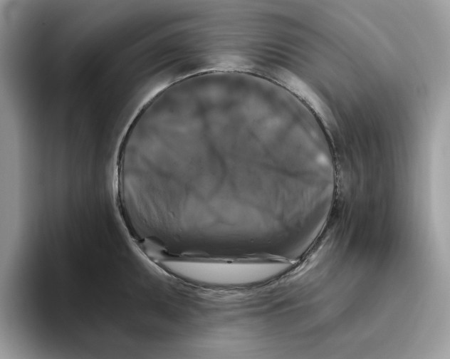 X0000093451095200711091508