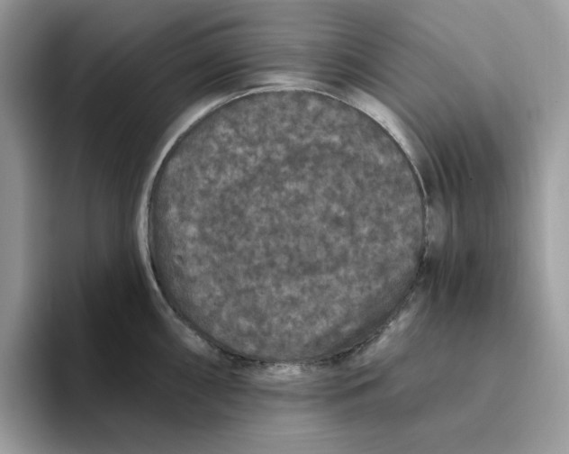 X0000093451098200711091508