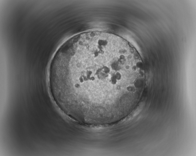 X0000093451099200711091508