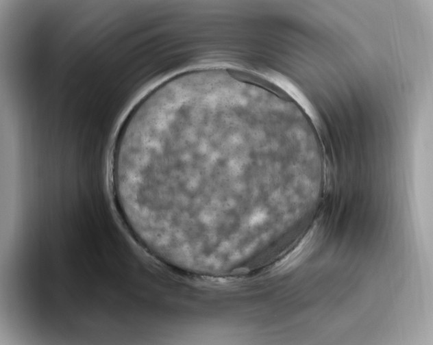 X0000093451101200711091508