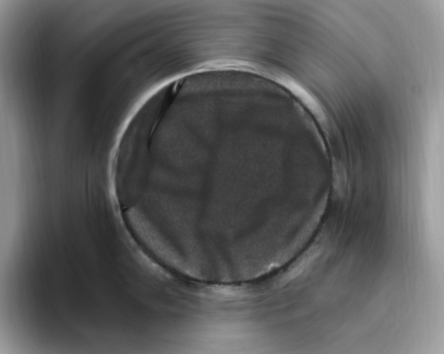 X0000093451102200711091508