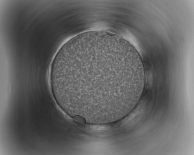 X0000093451103200711091508