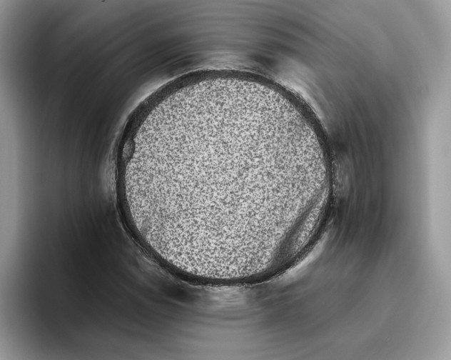 X0000093451114200711091507