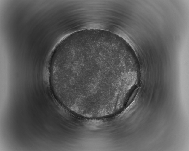 X0000093451115200711091507