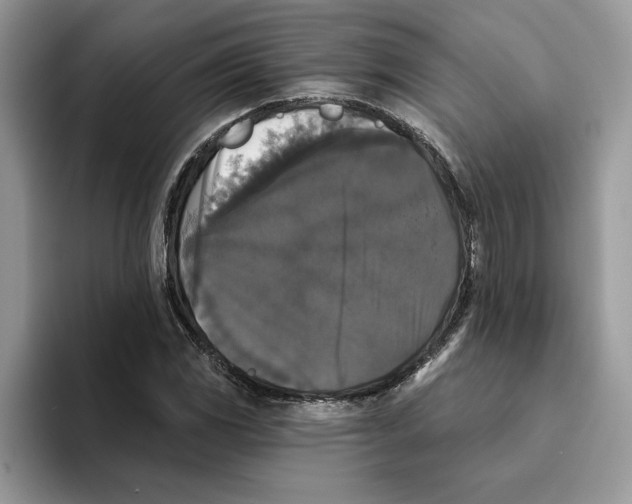 X0000093451117200711091507