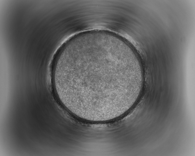 X0000093451118200711091507